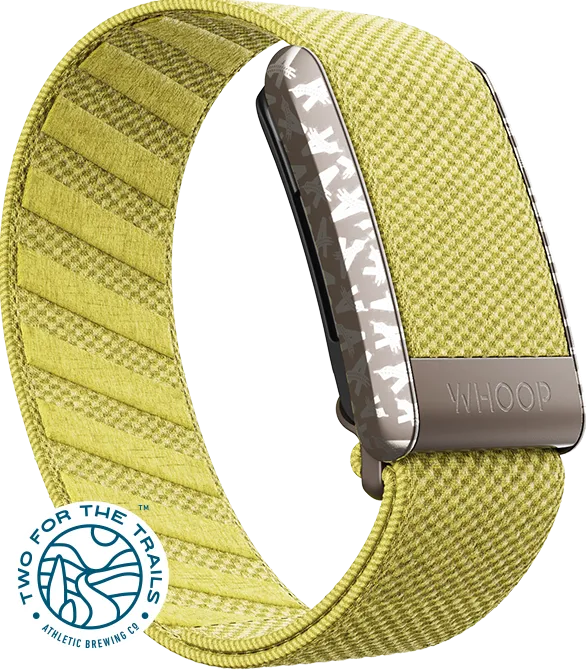 Athletic Brewing Co Citra SuperKnit Band