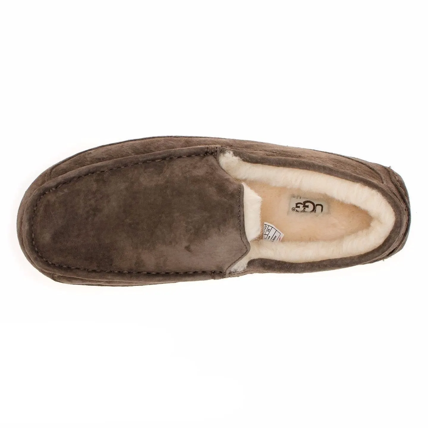 UGG Ascot Espresso Shoes