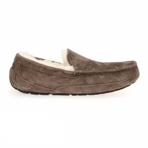 UGG Ascot Espresso Shoes