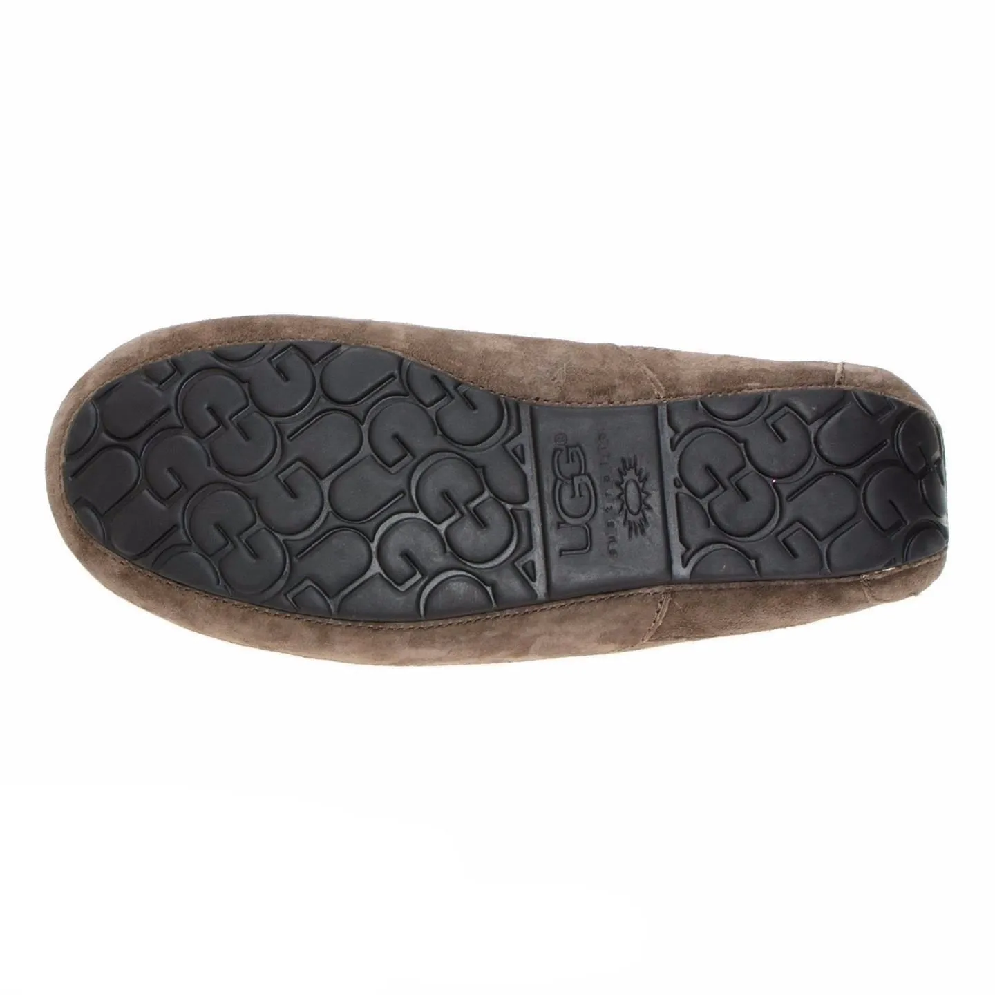 UGG Ascot Espresso Shoes