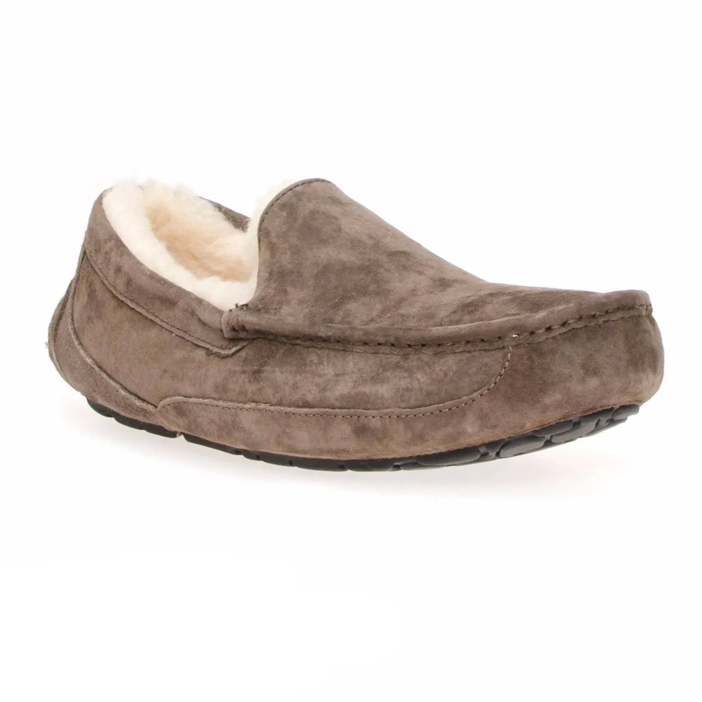 UGG Ascot Espresso Shoes